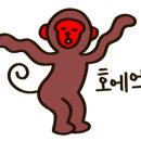 광주어린이대공원 네이버블로그