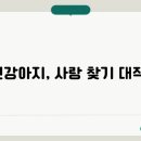 컴투펫 위탁보호센터 이미지