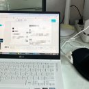 쿄비쥬 이이쟝의 5월 일상
