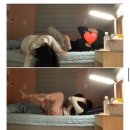 도랏냥