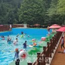 옥화자연휴양림 이미지