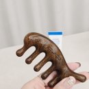 럭셔리 홈케어템 뷰티컬리 소품 1위 에끌라두 괄사