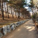 사리울근린공원 이미지