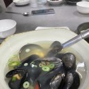 스타프라자 티스토리
