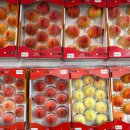 유나네농원 이미지