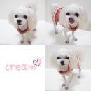 하은동물병원 이미지