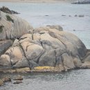 대성설피펜션 이미지