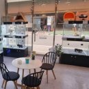 드림독 강아지분양 안심분양센터 인천점 이미지