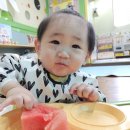 🍉8월19일 수요일-수박 씨가 콕콕🍉 이미지