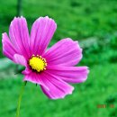 지하철 양산역 이미지