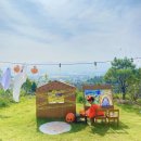 비행기나무 이미지