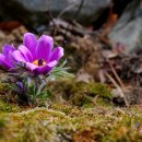 동강농장 이미지