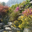 우드힐펜션 이미지