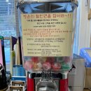 칠천도편백숲 | 거제도 다녀왔어요! - ① 숙소 편