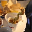 하모니치킨호프 네이버블로그