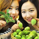 플랜트닷컴