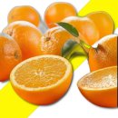 오렌지 이미지