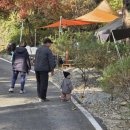 산대분교공공캠핑장 이미지