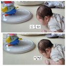 [일상] 4~5월 일상 모아모아 휘리릭♪♬