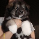 하리 농장 이미지