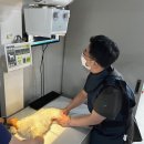 고성동물병원 - 고성군 간성북로7번길 18 | 고성동물병원