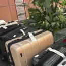 올림피아 | 도착보장으로 다음날 바로 받는 여행용캐리어 올림피아캐리어 솔직 후기