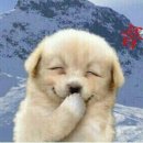 마음은 소녀 이미지