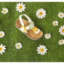 (주)아치소프트 이미지