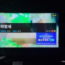 파랑새노래연습장 네이버블로그