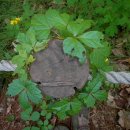 횡성 호수길 1구간 이미지