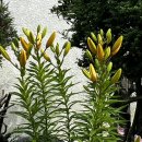 세븐일레븐(통영무전스마일점) | 아무생각없이멈춰서서