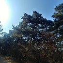 기내미재 이미지