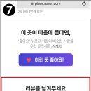 스무해 동물병원 이미지