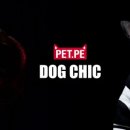 명품애견 이미지