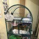 문토스트 송도점 이미지