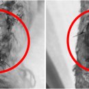 서수원동물병원 이미지