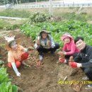 가덕농장 이미지