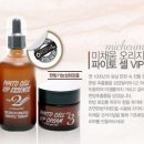 브이아이피솔루션