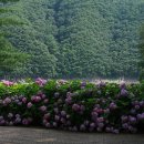 장계관광지 이미지