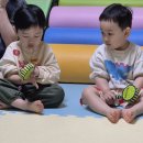 포레스트 뮤직-흥부놀부🩷 이미지