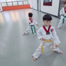 아랑태권도장 이미지