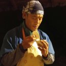 월인천강나비황차원 이미지