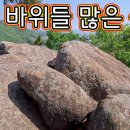 혁이여행, 거북산, 1인칭 시점 등산 정보, 무명산, 거북바위, 낮은 저산이면서 명산, 조망, 기암괴석이 많아 재미난 산행, 하산 시 이미지