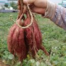 예원모텔 이미지