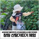 합성1동 무학아파트 | 창원 마산 산딸기체험 4세 5세 아이랑 가볼만한곳 추