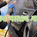 리얼크리닝 이미지