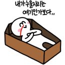 쿱케이팝 이미지