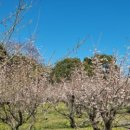 작가의 산책길 이미지