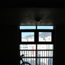 낙동제방길-1 이미지