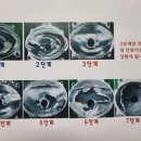 맥스 자동차나라 이미지